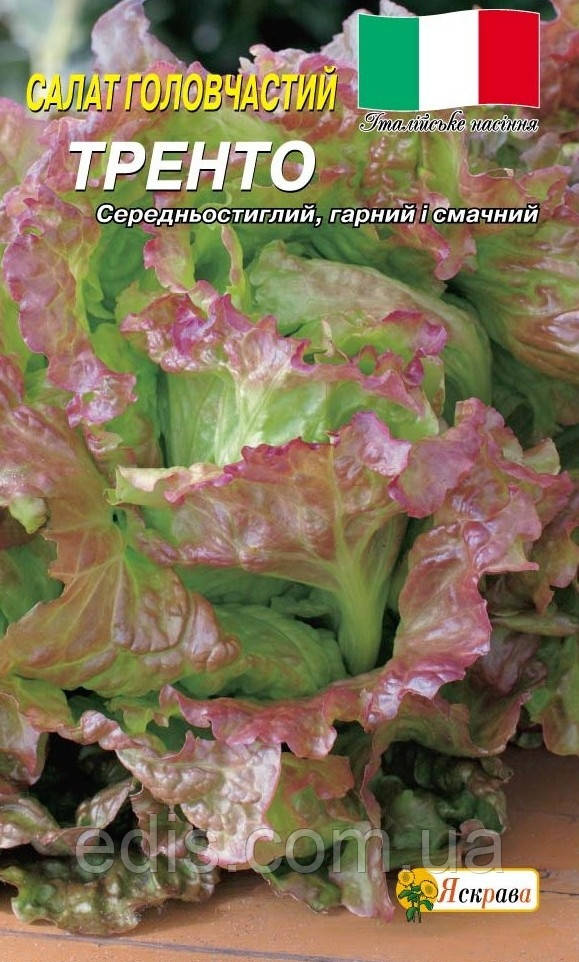Салат голівчатий Тренто червоний 1г (Італія), насіння Яскрава
