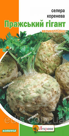Селера коренева Празький Гігант 0,2 г, насіння Яскрава, фото 1