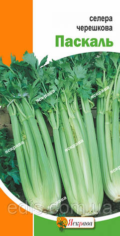 Селера черешкова Паскаль 0,5 г, насіння Яскрава, фото 1