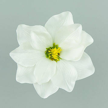 Магнолія біла (КОД: W174-08) В - 4,5 см Д - 18 см | виробництво Польща |12 шт. в упаковці