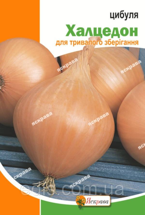 Цибуля Халцедон 5 г, насіння Яскрава