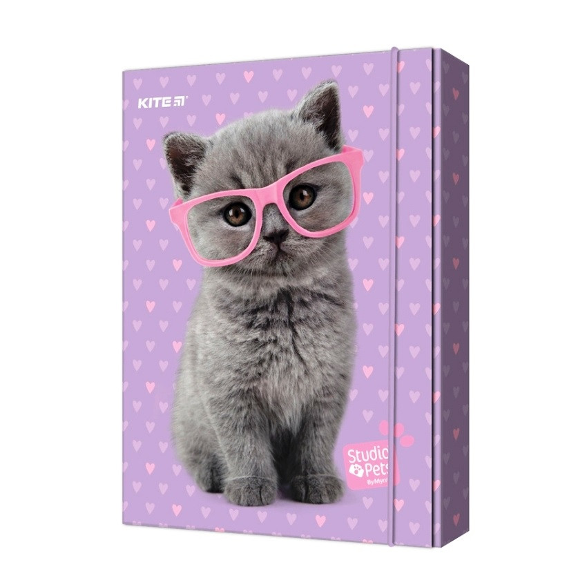 Папка для тетрадей на резинке Kite Studio Pets SP22-210