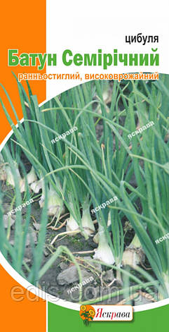 Цибуля Батун Семирічний 1 г, насіння Яскрава, фото 1
