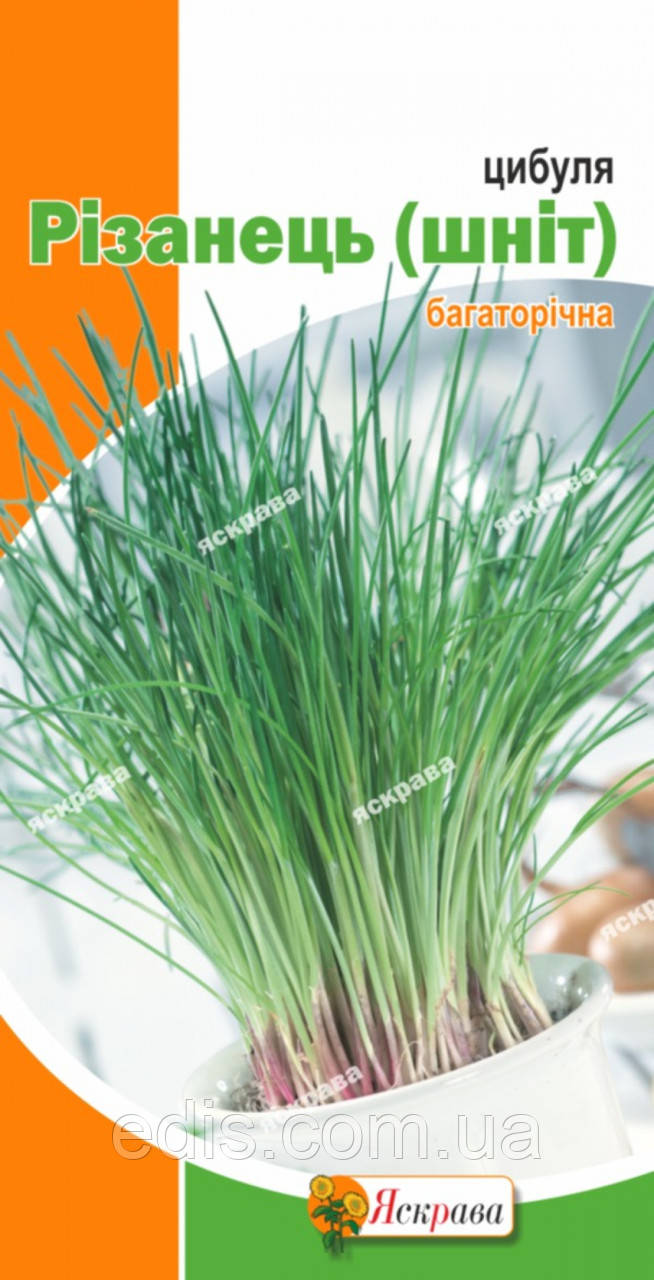 Цибуля Різанець (шнітт) 1г, насіння Яскрава