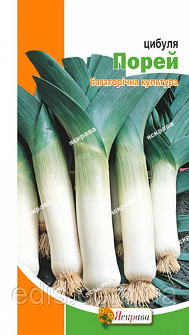 Цибуля Порей 1 г, насіння Яскрава, фото 1