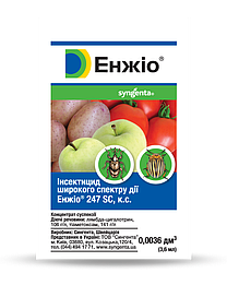 Трипси на огірку й перці? — Енжіо 3.6 мл, Syngenta: інсектицид широкої дії; короткий інтервал очікування — Придатний до 11/2025