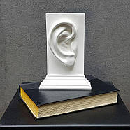 Тримач для книг "Вухо", фото 6