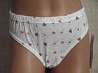 Труси для дівчинки бавовна Квіточки Польща. Трусики для дівчинки, фото 5