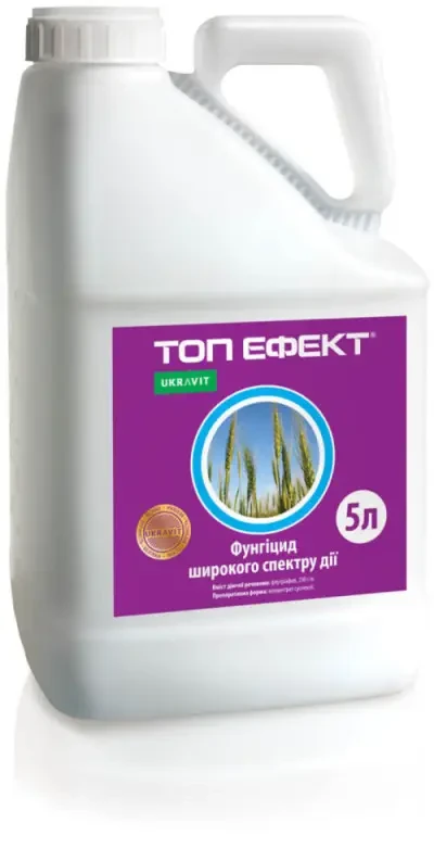 Топ Ефект КС 5 л