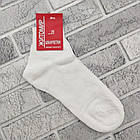 Шкарпетки чоловічі високі сітка 25 р,Житомир,посилена п'ята і мисок, білі, 30031207, фото 2