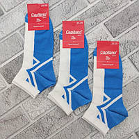 Шкарпетки жіночі середні літо сітка р.23-25 ​​блакитні Capitano 30031661