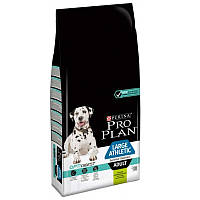 Сухий корм для ВЕЛИКИХ собак Pro Plan Large Athletic з атлетич.статурою з ягняти 14кг