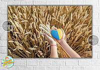 Плакат "Поле пшеницы, колосья, руки с желто-голубым сердцем", коллекция "Моя красивая Украина" 120х75 см