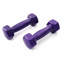 Гантели для фитнеса 6кг с виниловым покрытием для тренировок SP-Sport 3042-6 2 шт по 3 кг Violet