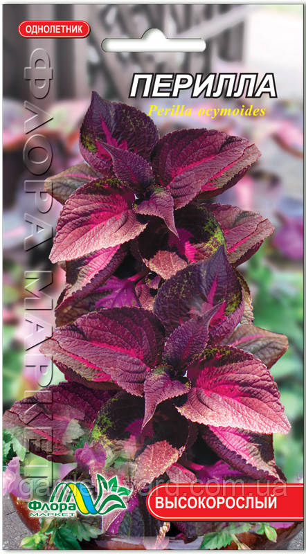 Насіння  Періла 0,05г Флора маркет