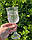 Набір 6 келихів 200 мл "Тюльпан" 16490-13 прозорі граненное скло, фото 2