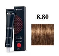 Стойкая перманентная крем-краска Indola 8.80 (8.8+) Светлый блонд шоколадно-натуральный 60 мл