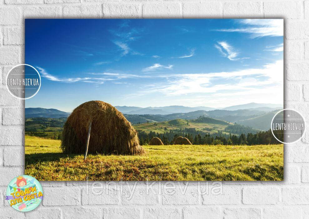 Плакат "Поле, вид на гори" 120х75 см, колекція "Моя красива Україна"