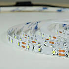 Світлодіодна стрічка BIOM Professional BPS-G3-12-2835-60-NW-20 нейтральний білий, негерметична, 1 м, фото 3