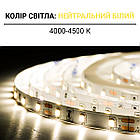 Світлодіодна стрічка BIOM Professional BPS-G3-12-2835-60-NW-20 нейтральний білий, негерметична, 1 м, фото 4
