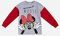 Свитшот «Minni Mouse, 98 см (3 года) MN18390, серо-красный». Производитель - Disney (MN18390)