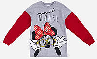 Свитшот «Minni Mouse, 4 года, 104 см, серо-красный». Производитель - Disney (MN18390)