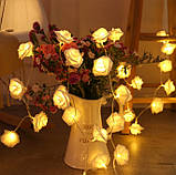 Гірлянда Троянди рози квіти 20 лампочок на 3м на батарейках білі, фото 2