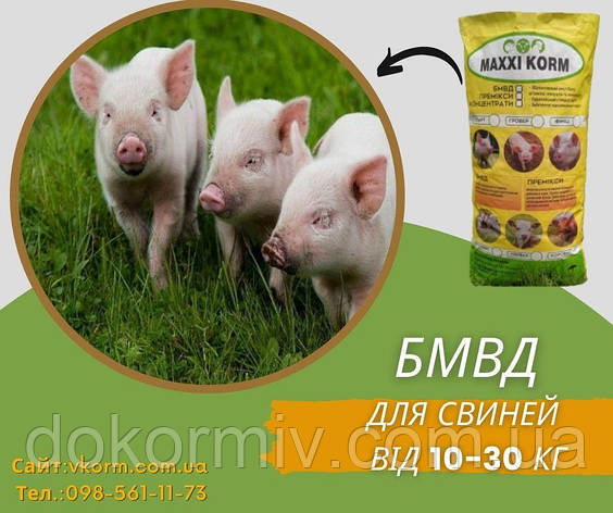 БМВД MAXXI KORM для свиней Старт 25%,, фото 1