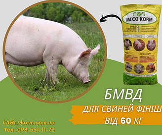 БМВД MAXXI KORM для свиней Фініш 15%