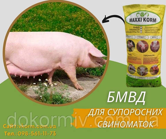 БМВД для поросних свиноматок 15%, фото 1