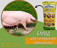 БМВД для супоросных свиноматок 15%