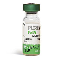 Пюревакс вакцина для кошек FELV