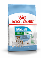 Royal Canin MINI STARTER для для кормящих сук и щенков мелких пород - 1кг