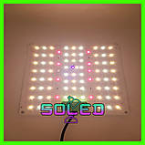 Фітолампа 40 W 82 LED (Повний спектр. Фито. Гроубокс. Лампа для рослин. Розсада. Теплиц), фото 3