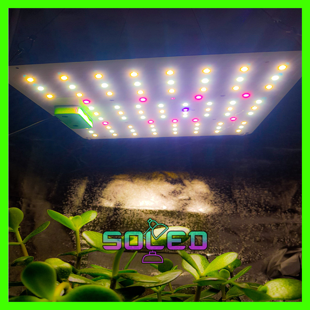 Фітолампа 40 W 82 LED (Повний спектр. Фито. Гроубокс. Лампа для рослин. Розсада. Теплиц)