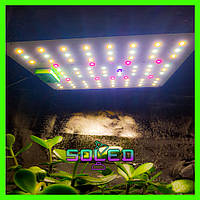 Фитолампа 40 W 82 LED (Полный спектр. Фито. Гроубокс. Лампа для растений. Рассада. Теплиц)