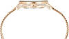 Годинник жіночий Anne Klein AK/2208CHGB, фото 3