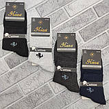Шкарпетки чоловічі середні весна/осінь асорті р.41-44 HAZA EXCLUSIVE бавовна 30035592, фото 2