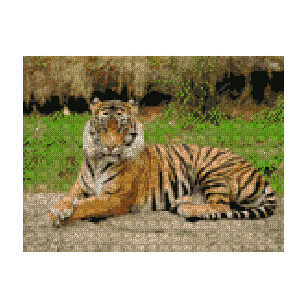 Алмазная мозаика Strateg ПРЕМИУМ Красивый тигр 30х40 см HX234 - фото 1 - id-p1640995052