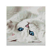 Алмазна мозаїка Strateg ПРЕМІУМ Блакитні очі котика 30х30 см CA-0013