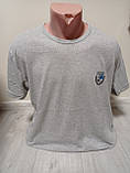 Чоловічий комплект Туреччина Найк Знак футболка і шорти бавовна 48-56 розміри сірий, фото 2