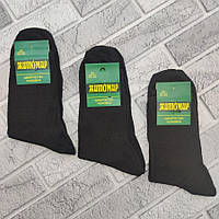 Шкарпетки чоловічі високі літо сітка чорні р.25 (39-40) ЖИТОМИР х/б 30035568