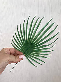 Пластиковий лист пальми