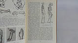 Курепіна М., Воккен Г. Анатомія людини (б/у)., фото 7
