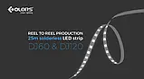 Світлодіодна стрічка COLORS, 24V, 120 led/m, 8.8W, 809Lm, IP67, 3000K (DJ120-24V-8mm-IP67-WW), фото 3