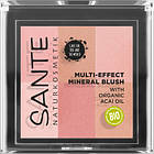 Румяна Sante Multi Effect Beauty 01 Coral 8 г (4025089085447)