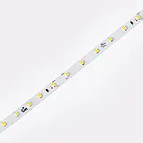 LED стрічка COLORS 60-2835-24V-IP20 4,4W 480Lm 3000K 5м (DJ60-24V-8mm-WW), фото 4