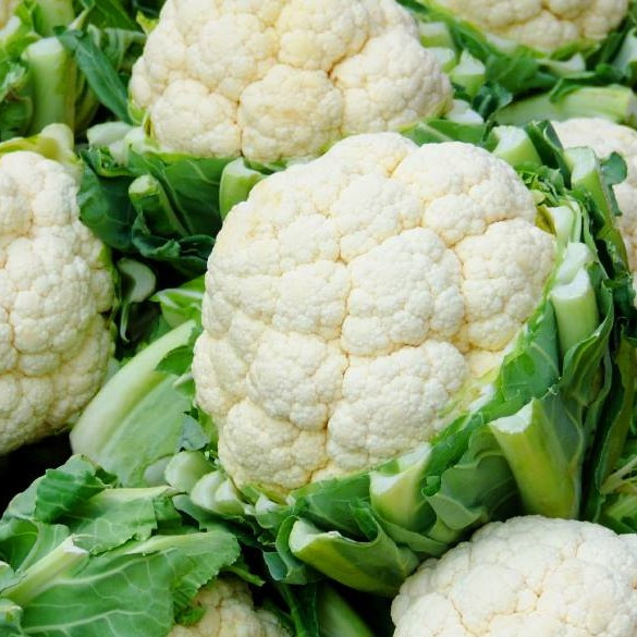 Гудмен (2500 нас.) насіння цвітної капусти Bejo, фото 1