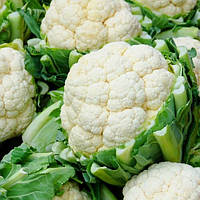 Гудмен (2500 нас.) насіння цвітної капусти Bejo