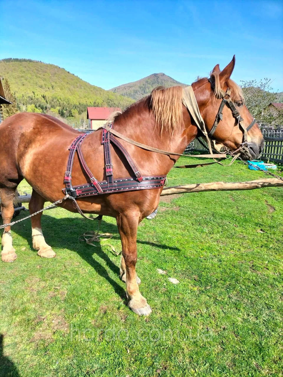 Упряжь наритник шкіра, фото 1